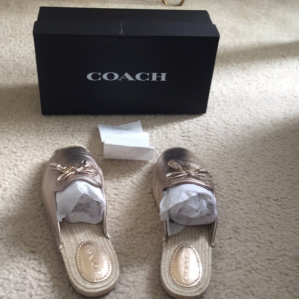 Authentic coach Espad